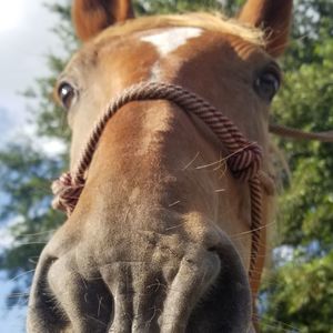 Meet your Posher, Heather